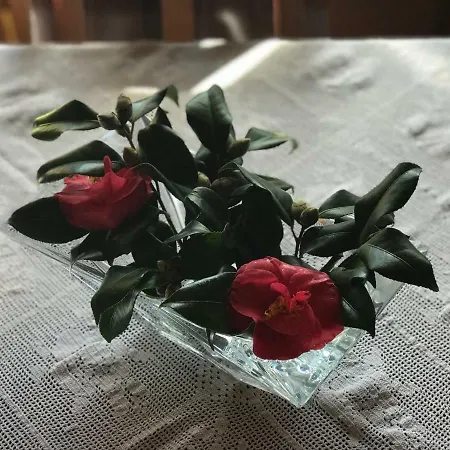 Aegean House Dom wakacyjny Áyios Dhimítrios